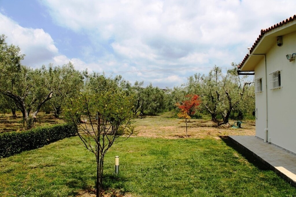 Земля в Ситонии, Греция, 19 000 м² - фото 5