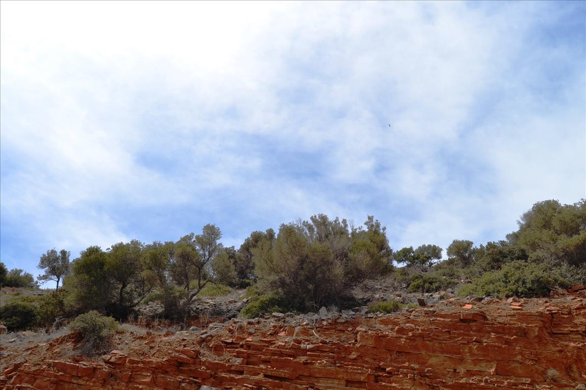 Земля в Ираклионе, Греция, 3 373 м² - фото 5