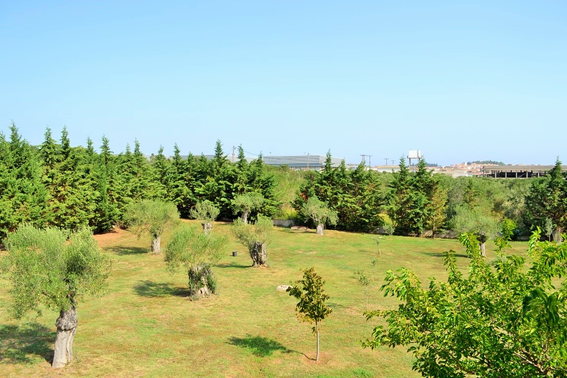 Вилла на Халкидиках, Греция, 400 м² - фото 5