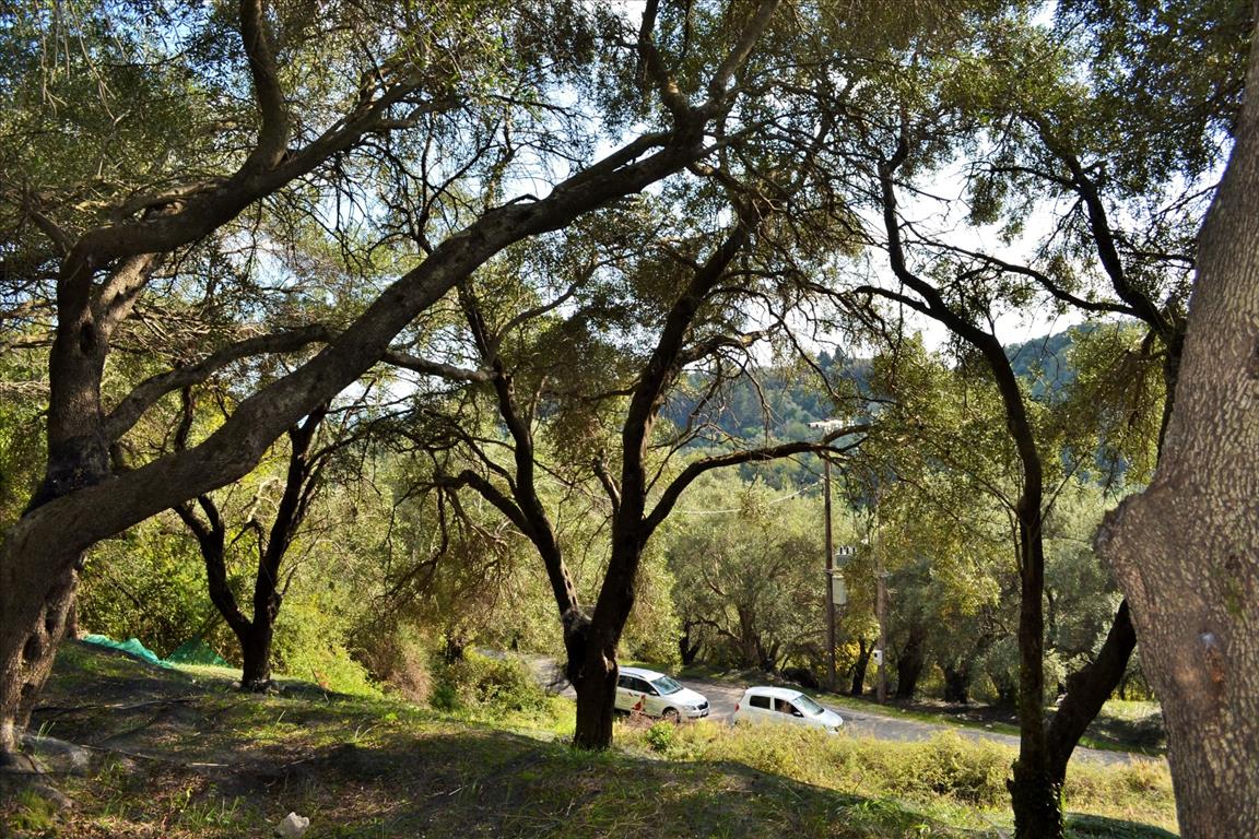 Земля на Корфу, Греция, 14 530 м² - фото 5