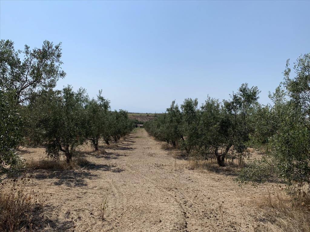 Земля в Салониках, Греция, 7 000 м² - фото 5