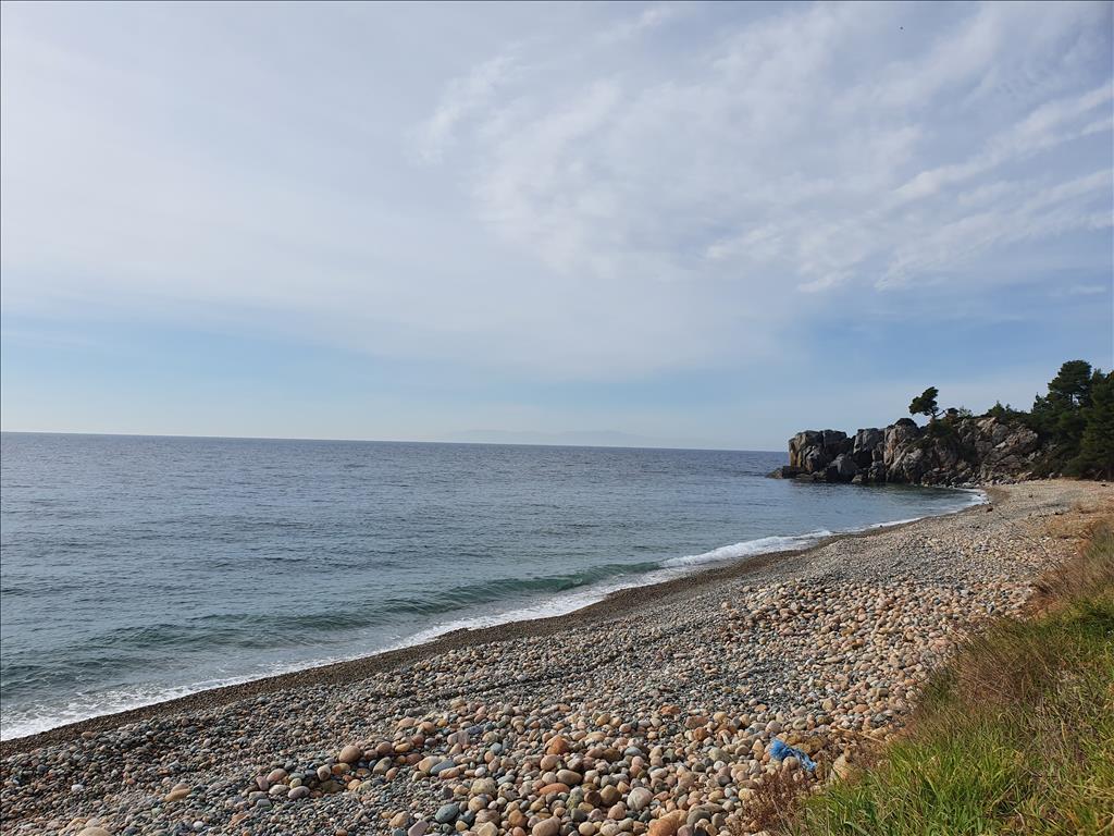 Земля на Кассандре, Греция, 10 000 м² - фото 5