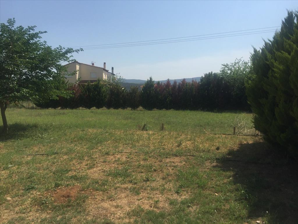 Дом на Халкидиках, Греция, 180 м² - фото 5