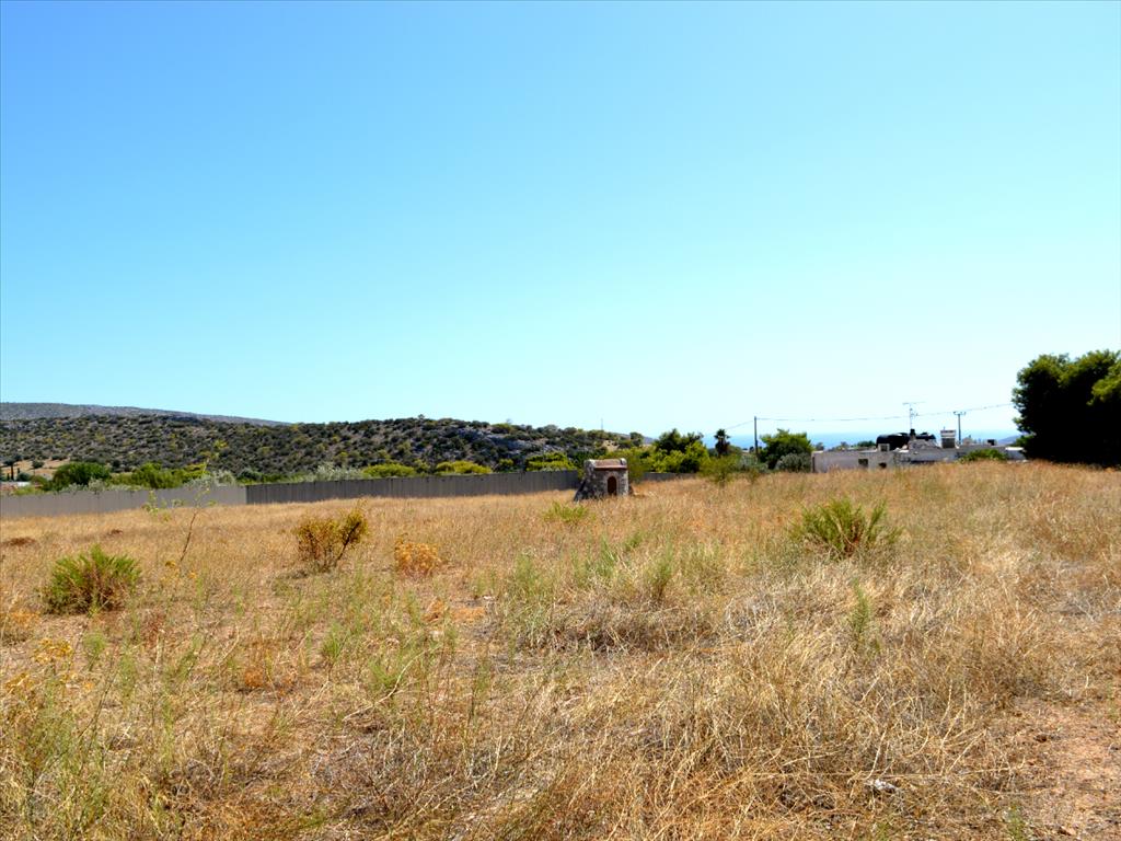 Дом в Аттике, Греция, 180 м² - фото 5