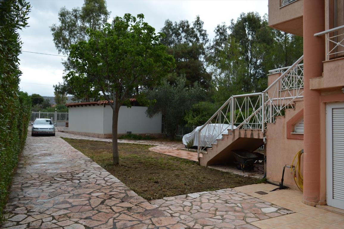 Дом в Аттике, Греция, 180 м² - фото 5