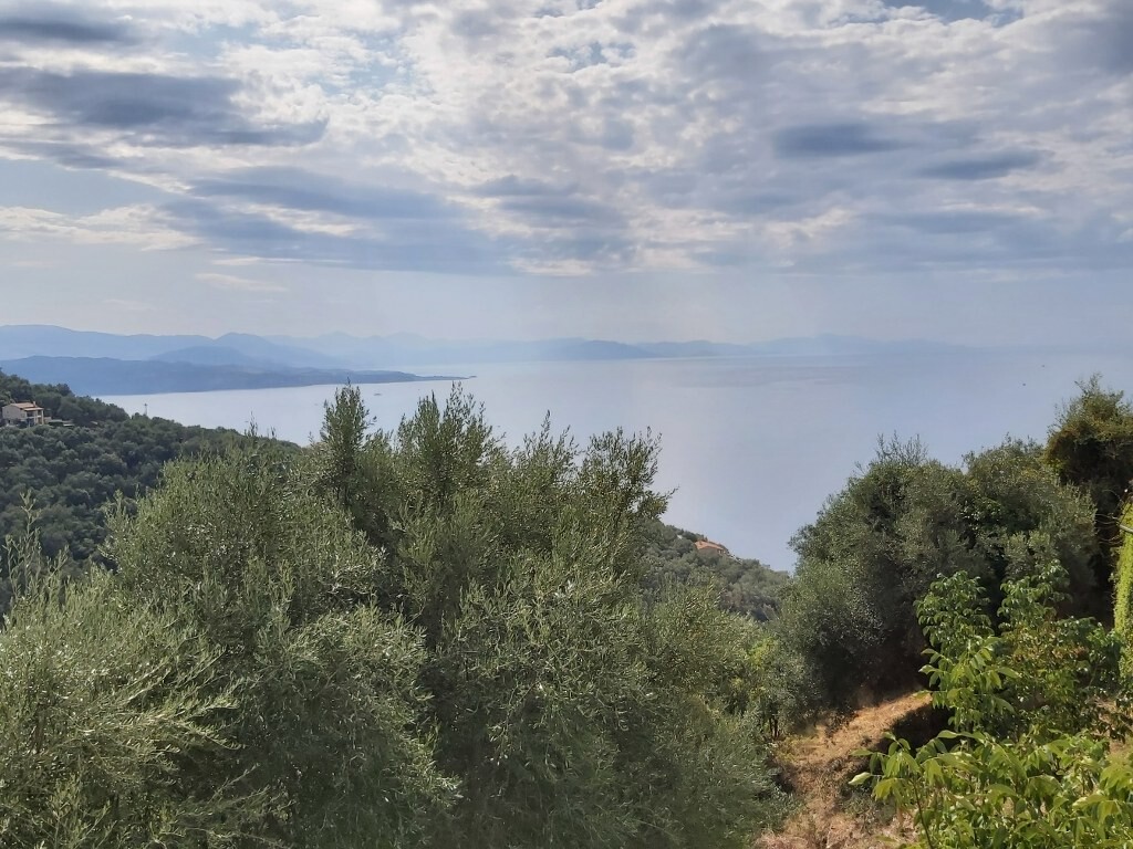 Земля на Корфу, Греция, 18 000 м² - фото 5