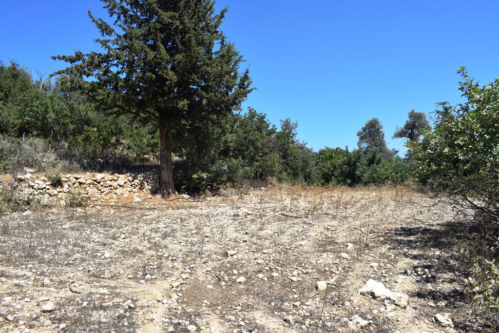 Земля в Ираклионе, Греция, 11 000 м² - фото 5