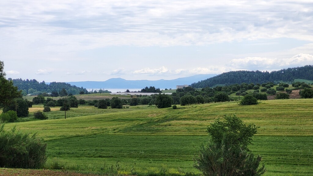 Дом на Кассандре, Греция, 200 м² - фото 5