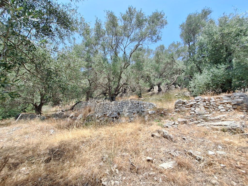 Земля на Корфу, Греция, 6 000 м² - фото 5