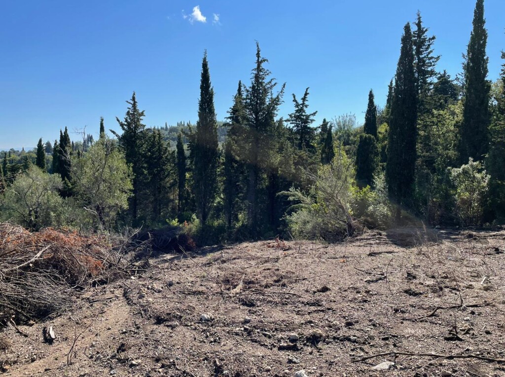 Земля на Корфу, Греция, 4 100 м² - фото 5