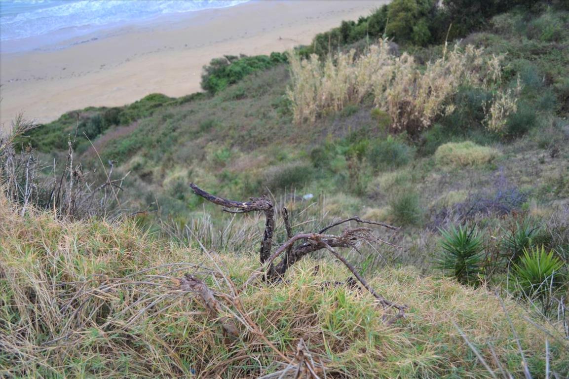 Земля на Корфу, Греция, 2 522 м² - фото 5