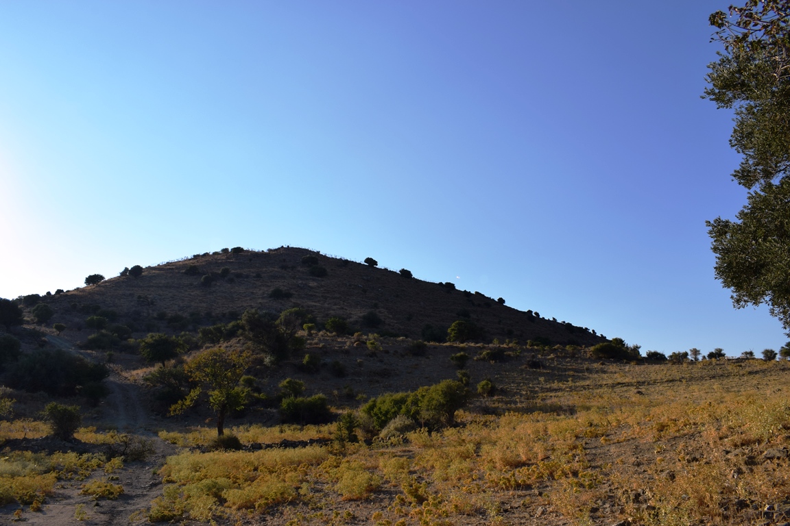 Земля в Ираклионе, Греция, 60 000 м² - фото 5