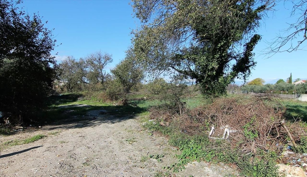 Земля на Корфу, Греция, 5 000 м² - фото 5