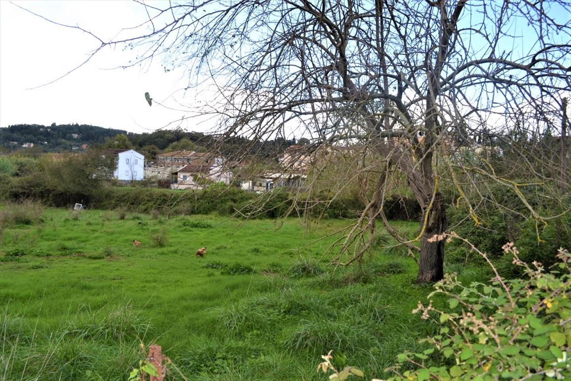 Земля на Корфу, Греция, 4 200 м² - фото 5