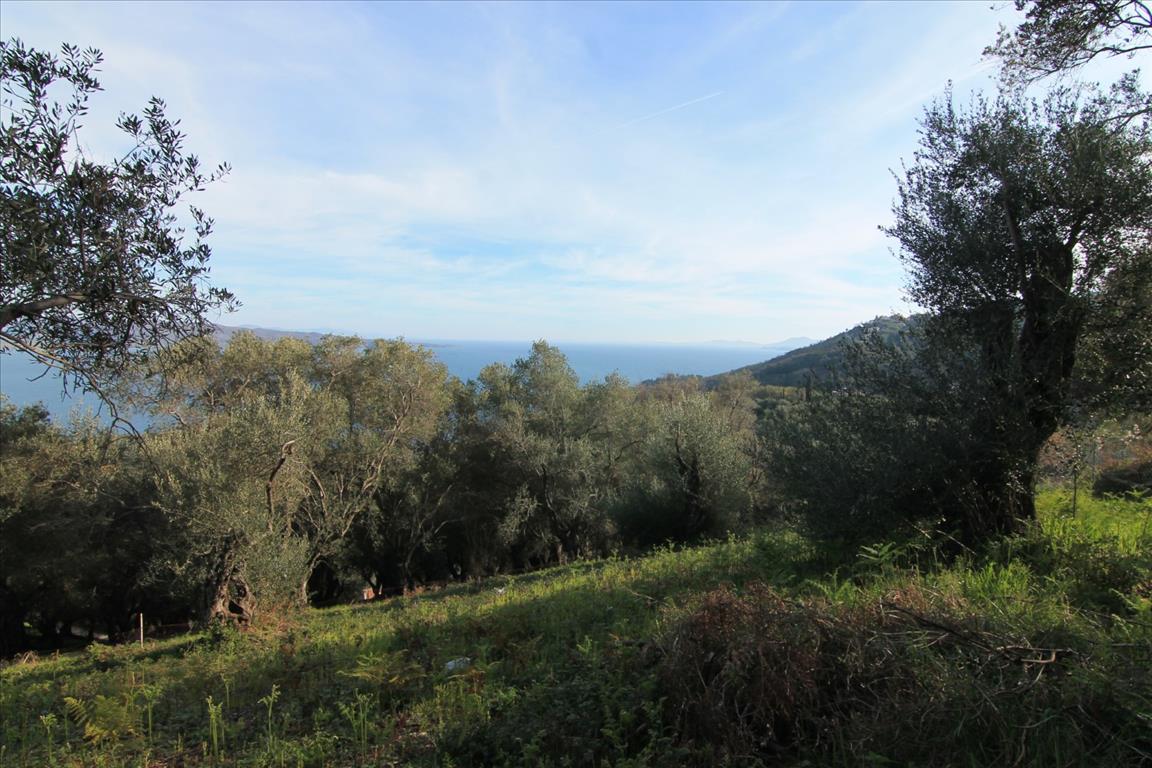 Земля на Корфу, Греция, 2 400 м² - фото 5