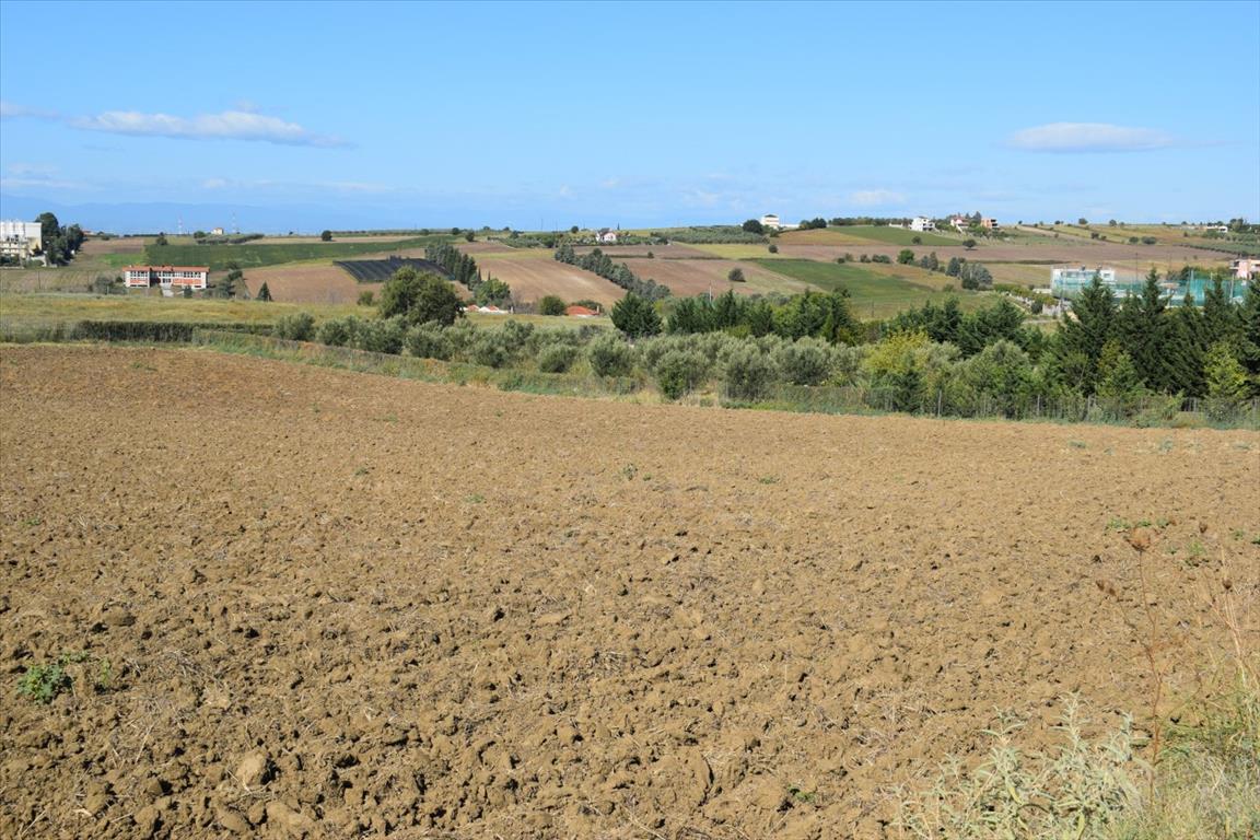 Земля в Салониках, Греция, 8 000 м² - фото 5