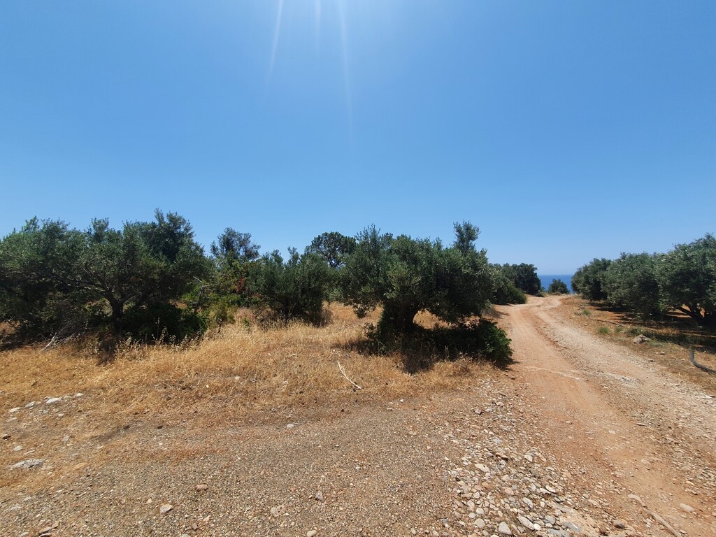 Земля в Ираклионе, Греция, 9 068 м² - фото 5