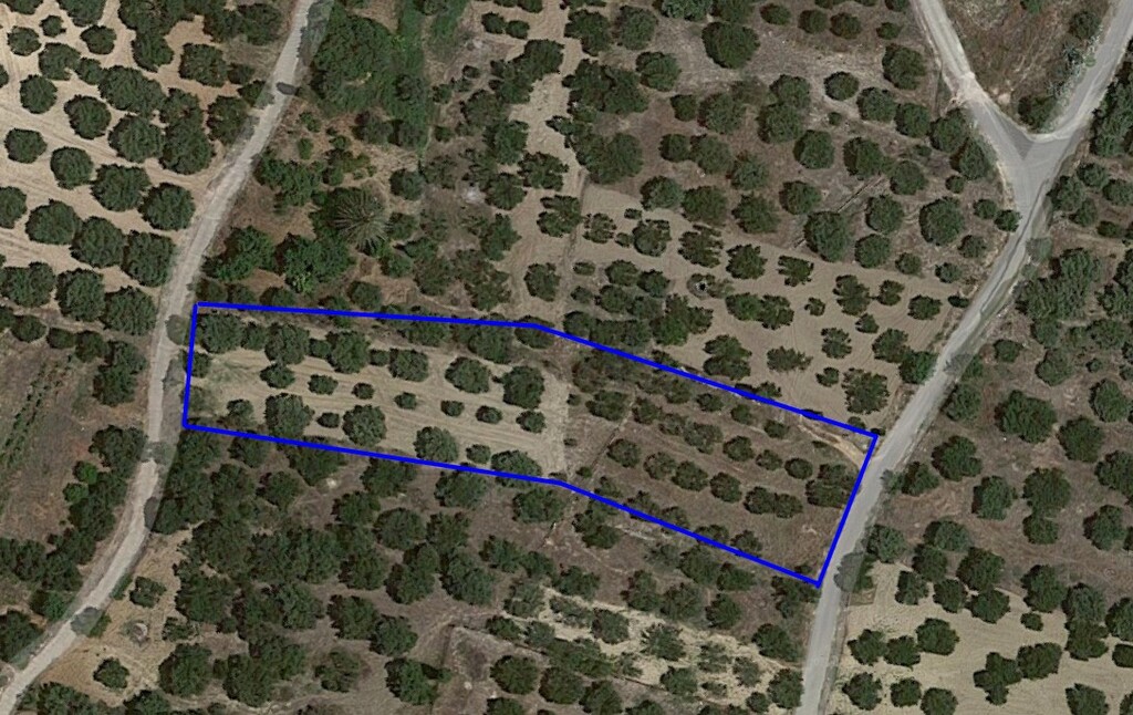 Земля в Ираклионе, Греция, 3 300 м² - фото 5