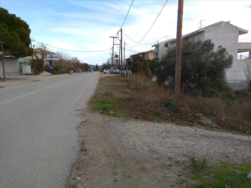 Земля в Ситонии, Греция, 1 800 м² - фото 5