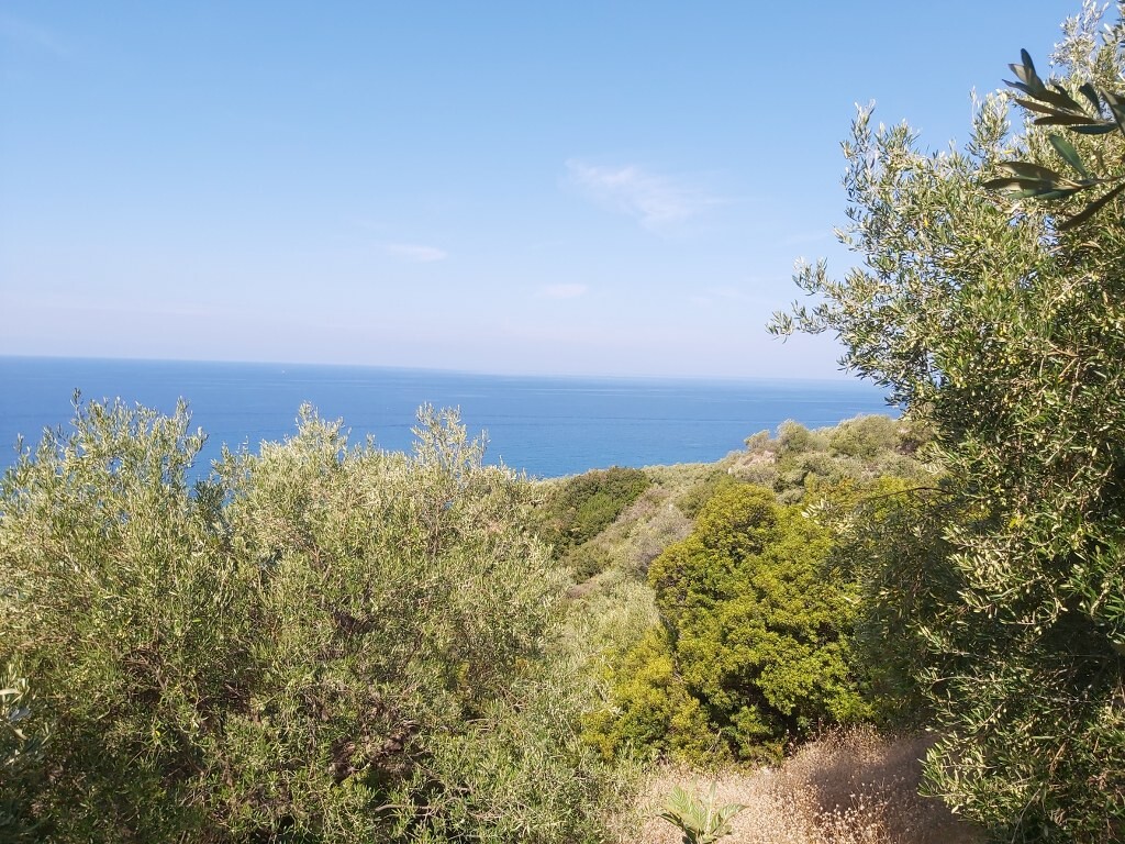 Земля на Корфу, Греция, 8 600 м² - фото 5