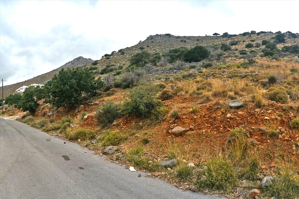 Земля в Ираклионе, Греция, 12 000 м² - фото 5