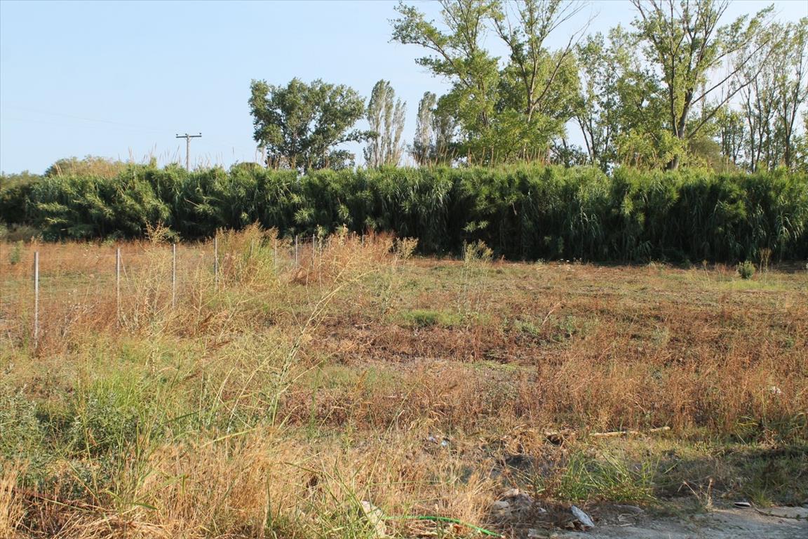 Земля на Кассандре, Греция, 2 500 м² - фото 5