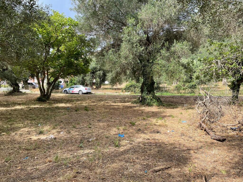 Земля на Корфу, Греция, 5 020 м² - фото 5