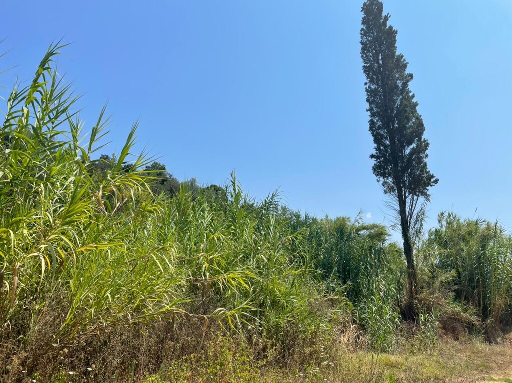 Земля на Корфу, Греция, 11 450 м² - фото 5