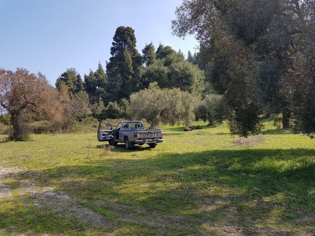 Земля на Кассандре, Греция, 4 300 м² - фото 5