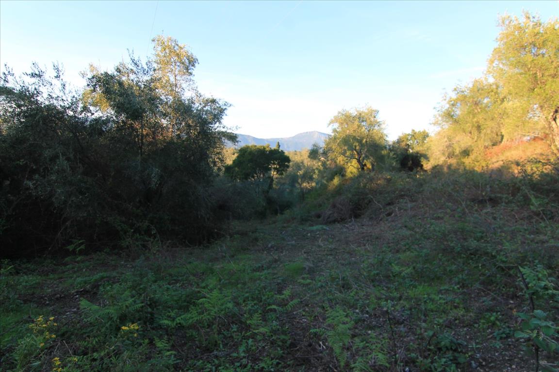 Земля на Корфу, Греция, 5 740 м² - фото 5