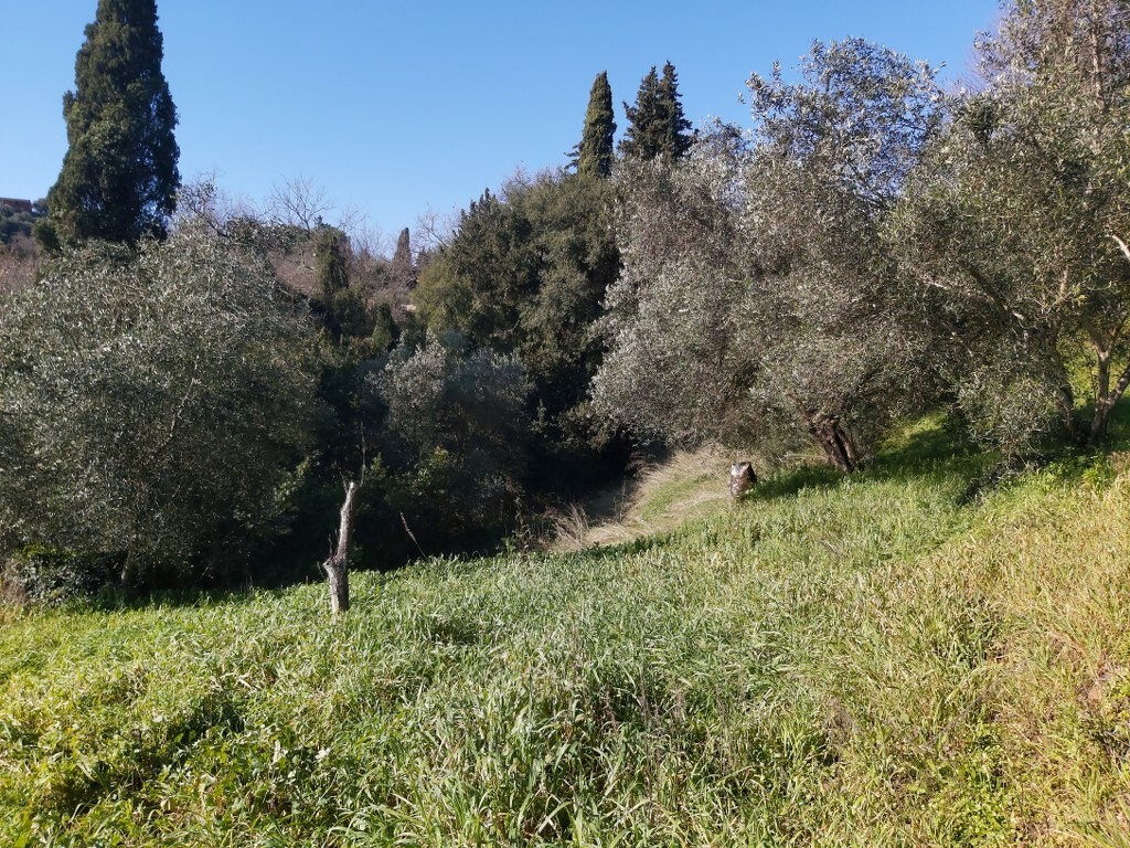 Земля на Корфу, Греция, 9 000 м² - фото 5