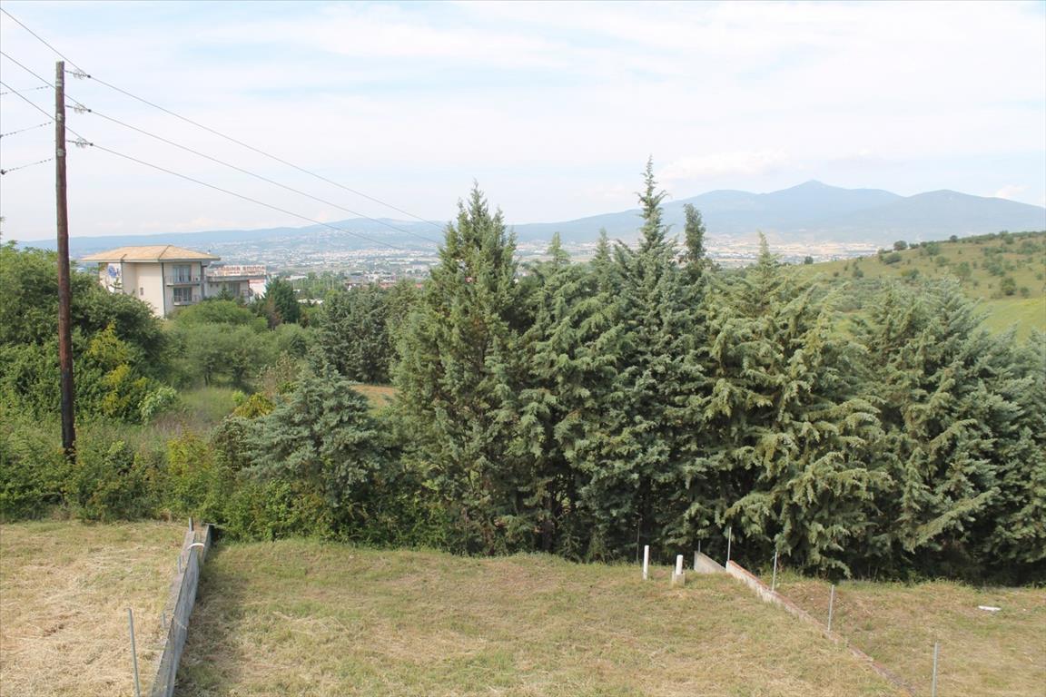 Дом в Салониках, Греция, 250 м² - фото 5