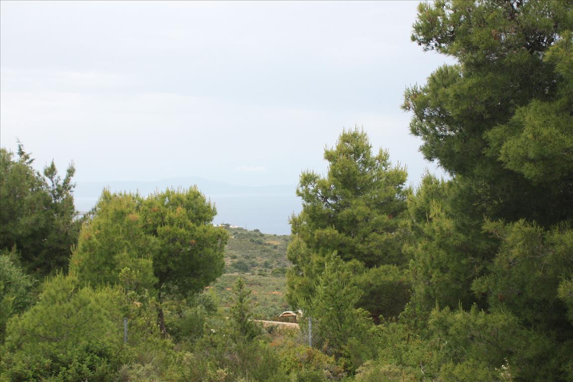 Земля в Ираклионе, Греция, 5 900 м² - фото 5