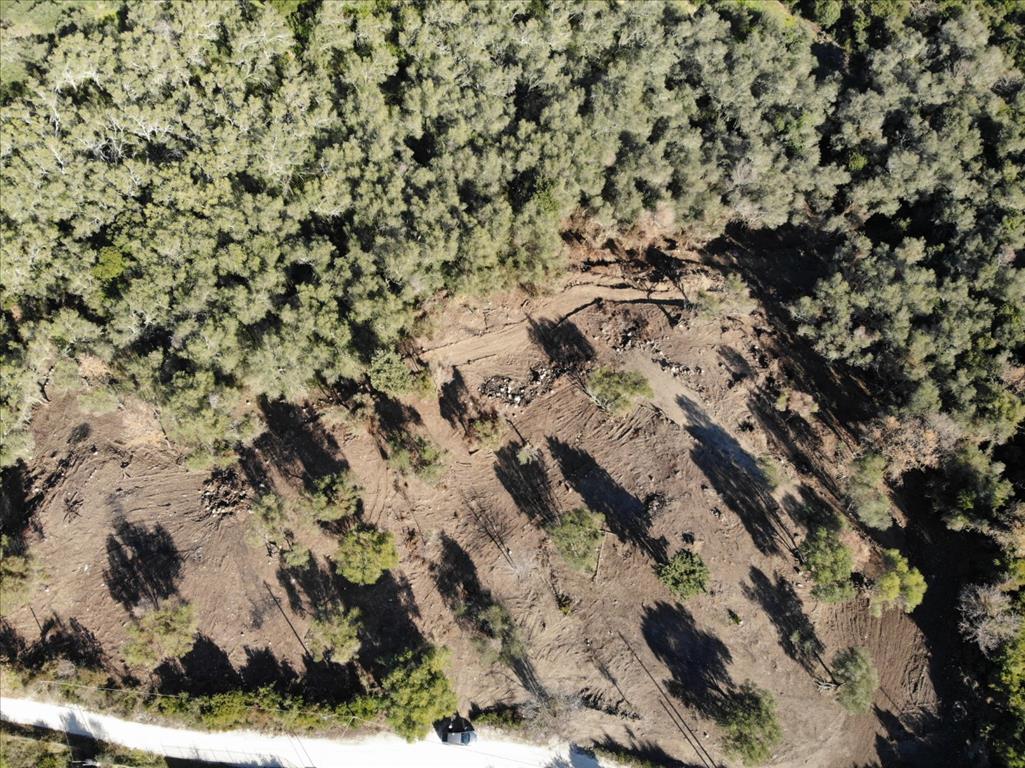 Земля на Корфу, Греция, 5 000 м² - фото 5