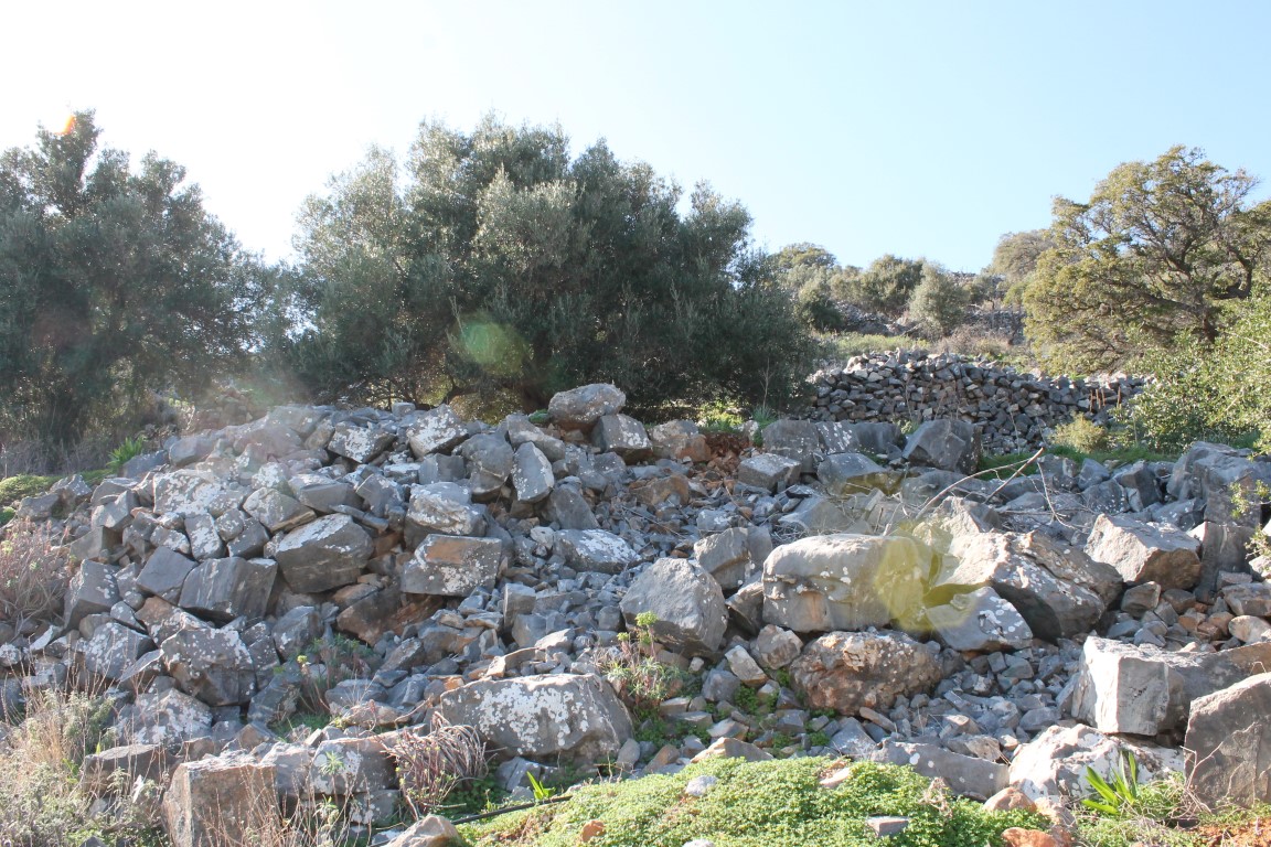 Земля в Ираклионе, Греция, 2 524 м² - фото 6