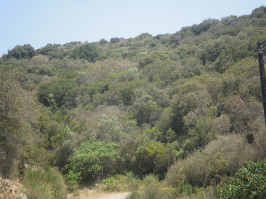 Земля на Халкидиках, Греция, 6 070 м² - фото 6