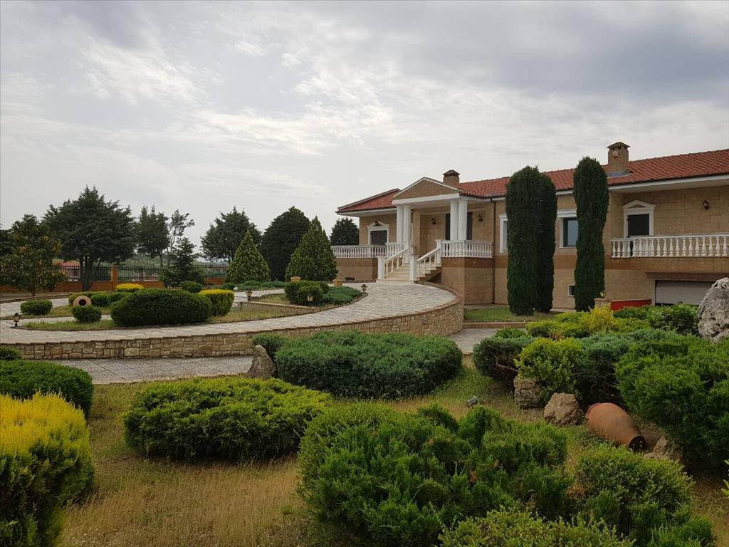 Дом в Салониках, Греция, 400 м² - фото 6