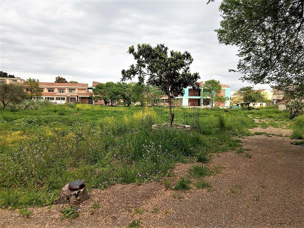 Земля на Корфу, Греция, 800 м² - фото 6