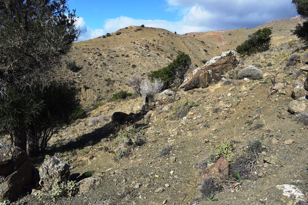 Земля в Ираклионе, Греция, 43 000 м² - фото 6