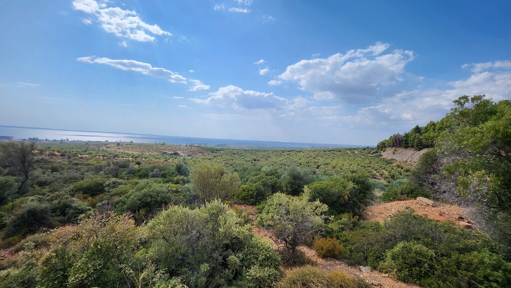 Земля в Ситонии, Греция, 37 500 м² - фото 6