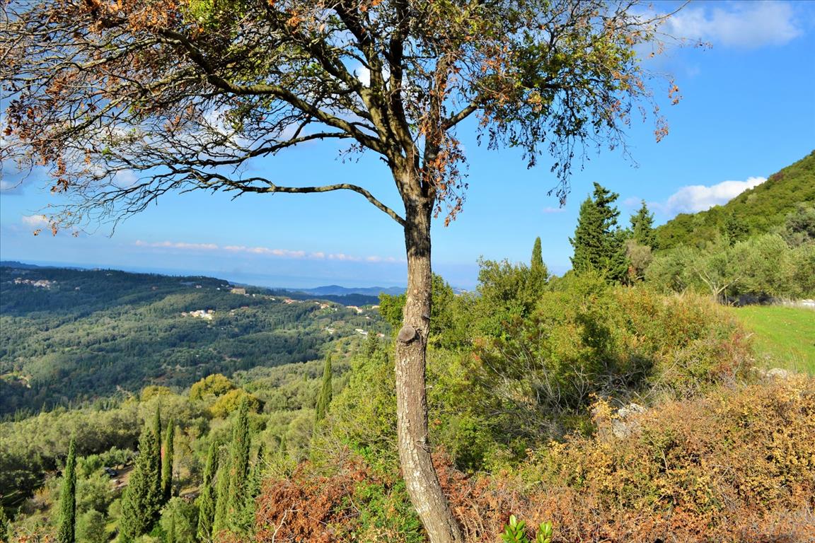 Земля на Корфу, Греция, 15 000 м² - фото 6