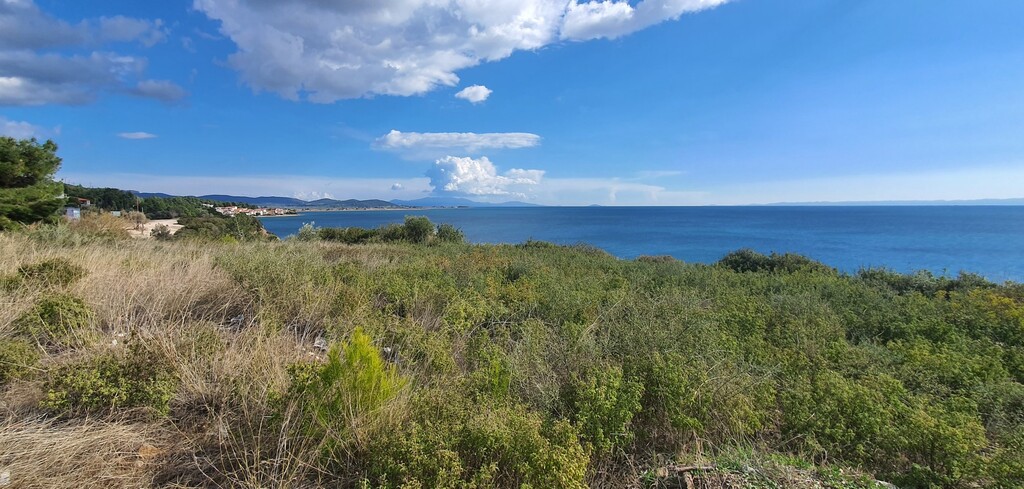 Земля в Ситонии, Греция, 4 913 м² - фото 6