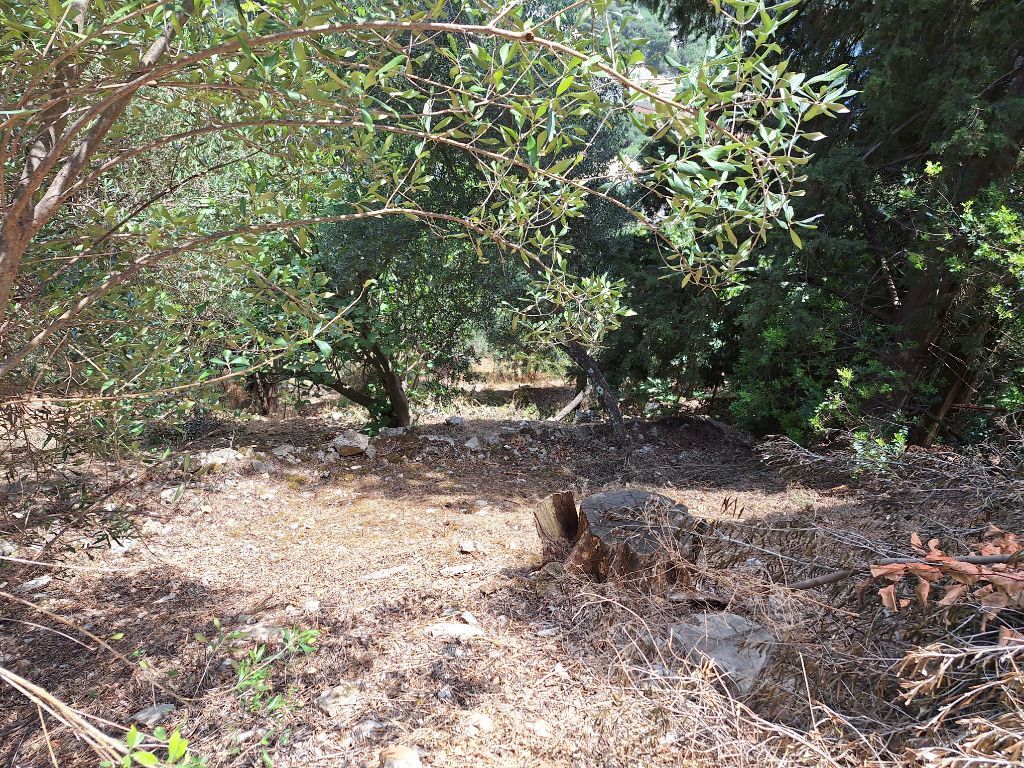 Земля на Корфу, Греция, 2 100 м² - фото 6