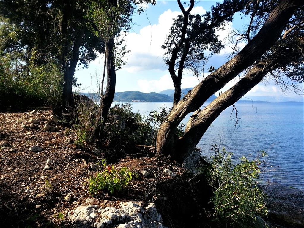 Земля на Корфу, Греция, 33 000 м² - фото 6