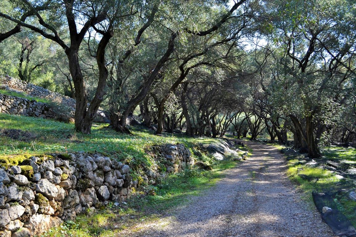 Земля на Корфу, Греция, 7 606 м² - фото 6