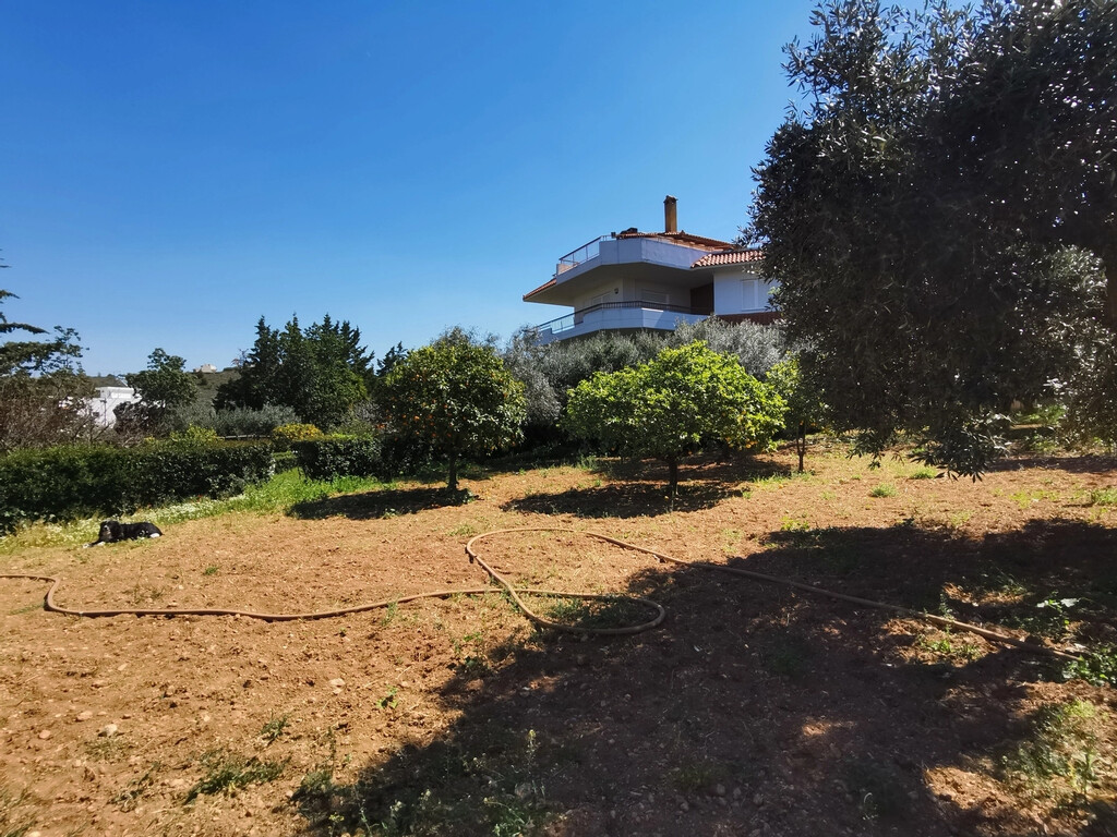 Дом в Аттике, Греция, 520 м² - фото 6