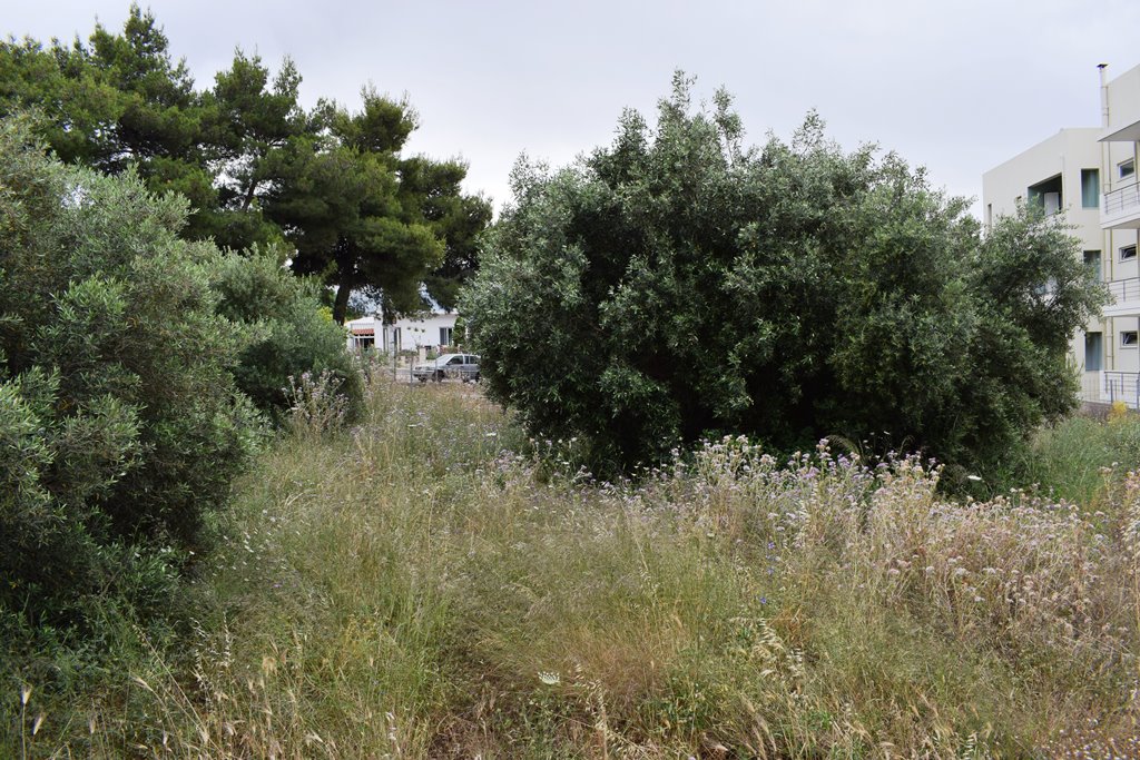 Земля в Ираклионе, Греция, 392 м² - фото 6