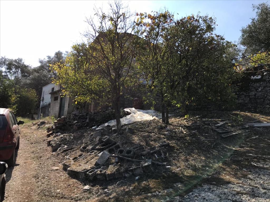 Земля на Корфу, Греция, 4 000 м² - фото 6