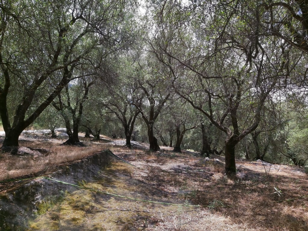 Земля на Корфу, Греция, 7 200 м² - фото 6