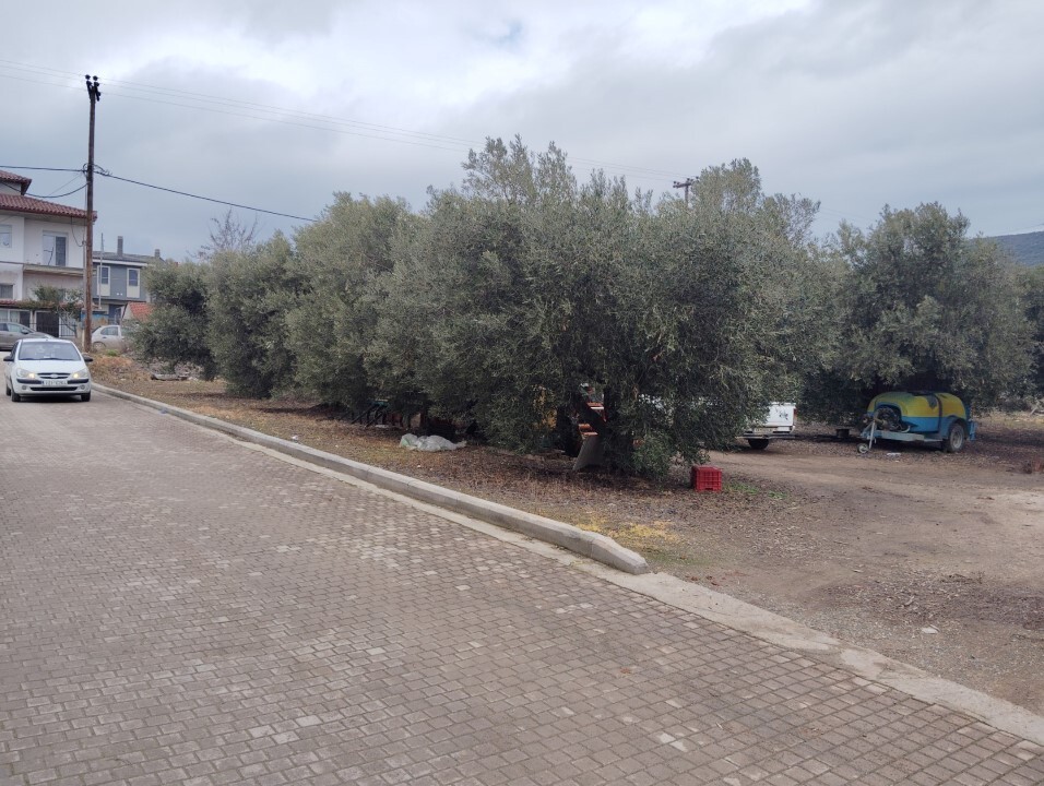 Земля в Ситонии, Греция, 1 305 м² - фото 6